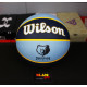 М'яч баскетбольний Wilson NBA TEAM Tribute BSKT MEM GRIZZLIES size 7 (WTB1300XBMEM 7)
