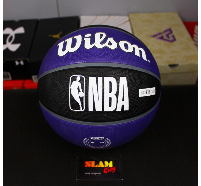 М'яч баскетбольний Wilson NBA TEAM Tribute SAC KINGS size 7 (WTB1300XBSAC 7)