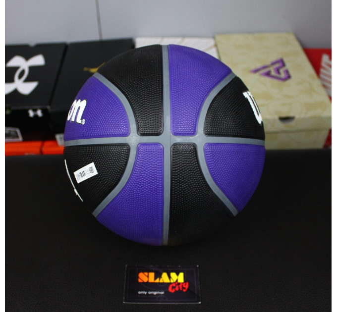 М'яч баскетбольний Wilson NBA TEAM Tribute SAC KINGS size 7 (WTB1300XBSAC 7)