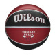Універсальний баскетбольний м'яч Wilson NBA Team Tribute Chicago Bulls р. 7 (WTB1300XBCHI)