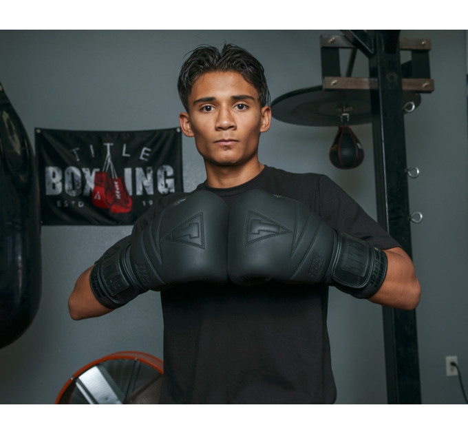 Боксерські рукавиці TITLE Black Bolstered Leather Black 16 oz (бинти 4м. в комплекті)