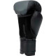 Боксерські рукавиці Everlast PROSPECT 2 BOXING GLOVE чорний Уні 8 унцій P00002972