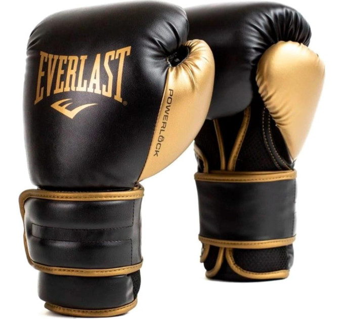 Боксерські рукавиці Everlast POWERLOCK 2R TRAINING GLOVE чорний, золотий Уні 10 унцій P00002661
