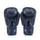 Боксерські рукавиці Fairtex BGV27 Blue 10 унцій (бинти в комплекті)
