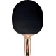 Ракетка для пінг-понгу Donic Top Teams 700 new 754197