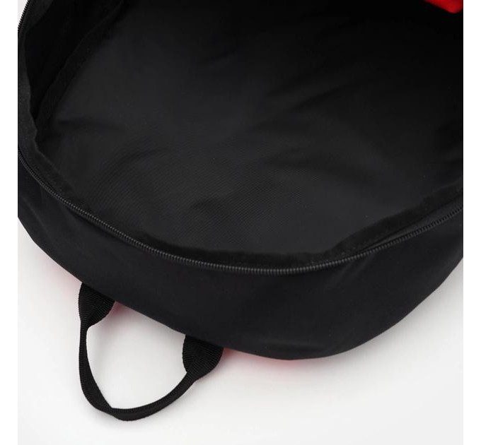 Рюкзак Puma individualRISE Backpack 21L Чорний, Червоний Уні 33x11x49 см (079911-01)