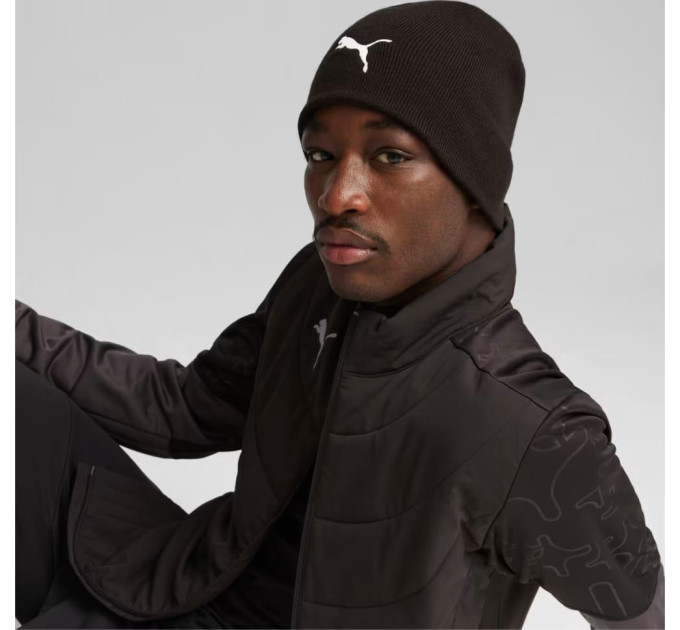 Шапка Puma indWINTERIZED Tech Beanie Чорний One Size (024943-01)