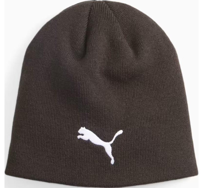 Шапка Puma indWINTERIZED Tech Beanie Чорний One Size (024943-01)