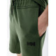 Чоловічі Шорти HELLY HANSEN MOVE SWEAT SHORTS Зелений M (7d53710-476 M)
