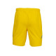 Чоловічі шорти Joma жовтий XL AT102024A907 XL
