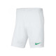Чоловічі Шорти тренувальні Nike M NK DF PARK III SHORT NB K Білий M (7dBV6855-102 M)