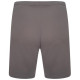 Шорти Puma teamRISE Short сірий Чол L 704942-13 L