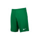 Чоловічі Шорти тренувальні Nike M NK DF PARK III SHORT NB K Зелений L (7dBV6855-302 L)