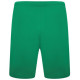 Шорти Puma teamRISE Short зелений Чол M 704942-05 M