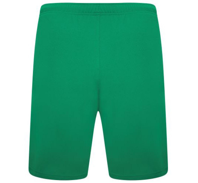 Шорти Puma teamRISE Short зелений Чол S 704942-05 S