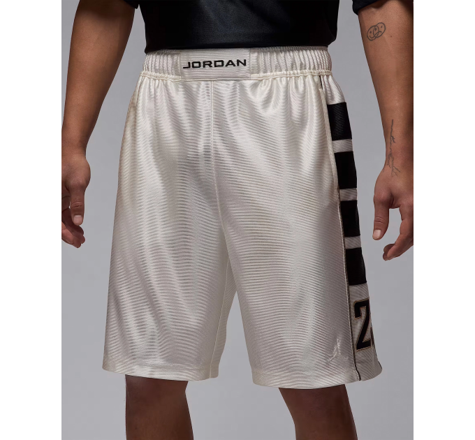 Чоловічі Шорти Jordan M BRK CAT SCRATCH SHORT Білий L (7dHV0560-133 L)
