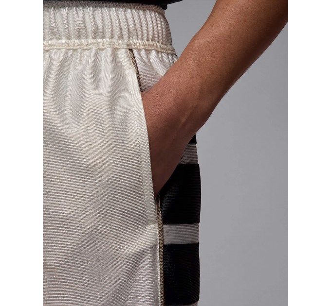 Чоловічі Шорти Jordan M BRK CAT SCRATCH SHORT Білий L (7dHV0560-133 L)