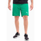 Шорти Puma teamRISE Short зелений Чол XL 704942-05 XL