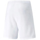 Шорти Puma teamRISE Short білий Чол 2XL 704942-03 2XL