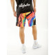 Чоловічі Шорти AUSTRALIAN HOLI ACE SHORT Разноцветный XL (7dPAUSH0004-003 XL)
