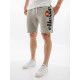Чоловічі Шорти Ellesse Bossini Fleece Short ТЕМНО-СІРИЙ M (7dSHS08748-106 M)