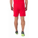 Шорти Puma teamRISE Short червоний Чол M 704942-01 M