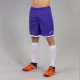 Чоловічі шорти Joma TOLEDO фіолетовий S 100006.550 S
