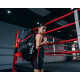 Спортивна сумка TITLE Boxing Champion Sport Bag/Backpack Black/Red