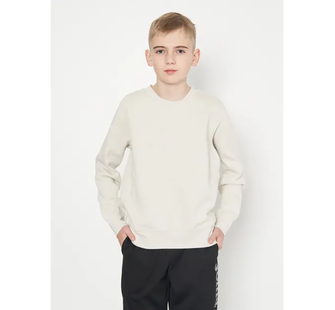 Свитшот детский JOMA Montana Світло-сірий 141-152 (102107.001) Свитшот детский JOMA Montana Світло-сірий 141-152 (102107.001)