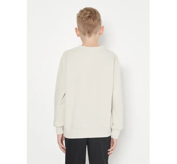 Свитшот детский JOMA Montana Світло-сірий 141-152 (102107.001)