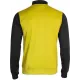 Олімпійка (мастерка) дитяча JOMA JACKET WINNER Жовтий, Чорний (141-152 см) 2XS (101008.901)