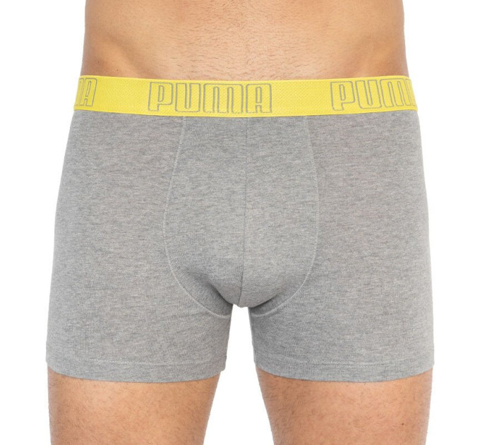 Труси-боксери Puma Bold Stripe Boxer 2-pack M gray/white 501001001-020