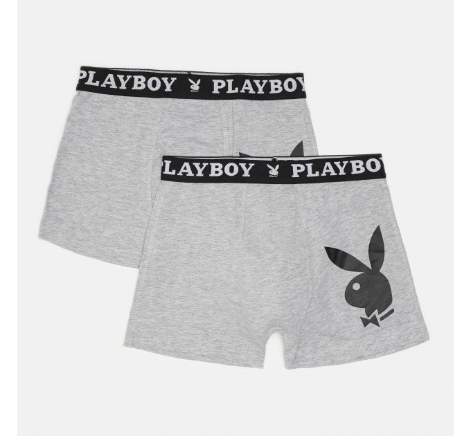 Набір труси-боксери ANNYA PLAYBOY BOXERSHORT сірий Чол S ANNYA-29 S Набір труси-боксери ANNYA PLAYBOY BOXERSHORT сірий Чол S ANNYA-29 S