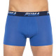Труси-боксери Puma Logo AOP Boxer 2-pack L blue 501003001-010