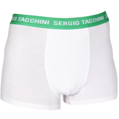 Труси-боксери Sergio Tacchini Boxer GA 1-pack 8 white 30891213-1