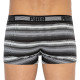 Труси-боксери Puma Worldhood Stripe Trunk 2-pack S black/gray/white 501004001-200