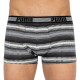 Труси-боксери Puma Worldhood Stripe Trunk 2-pack S black/gray/white 501004001-200