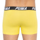 Труси-боксери Puma Bold Stripe Boxer 2-pack S gray/white 501002001-020