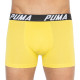 Труси-боксери Puma Bold Stripe Boxer 2-pack S gray/white 501002001-020