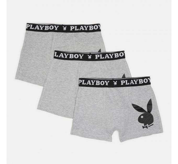 Набір труси-боксери ANNYA PLAYBOY BOXERSHORT сірий Чол S ANNYA-36 S