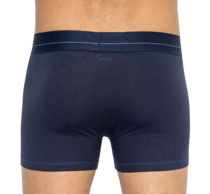 Труси-боксери Puma Statement Boxer 2-pack S blue/gray 501006001-010