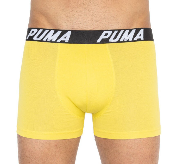 Труси-боксери Puma Bold Stripe Boxer 2-pack M gray/white 501002001-020