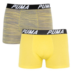 Труси-боксери Puma Bold Stripe Boxer 2-pack M gray/white 501002001-020
