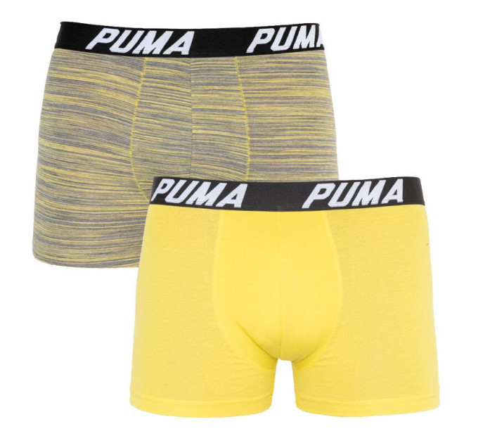 Труси-боксери Puma Bold Stripe Boxer 2-pack M gray/white 501002001-020