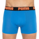 Труси-боксери Puma Statement Boxer 2-pack L black/blue 501006001-030