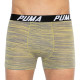 Труси-боксери Puma Bold Stripe Boxer 2-pack M gray/white 501002001-020