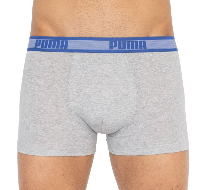 Труси-боксери Puma Worldhood Stripe Trunk 2-pack XL gray/blue 501004001-010
