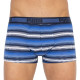 Труси-боксери Puma Worldhood Stripe Trunk 2-pack XL gray/blue 501004001-010
