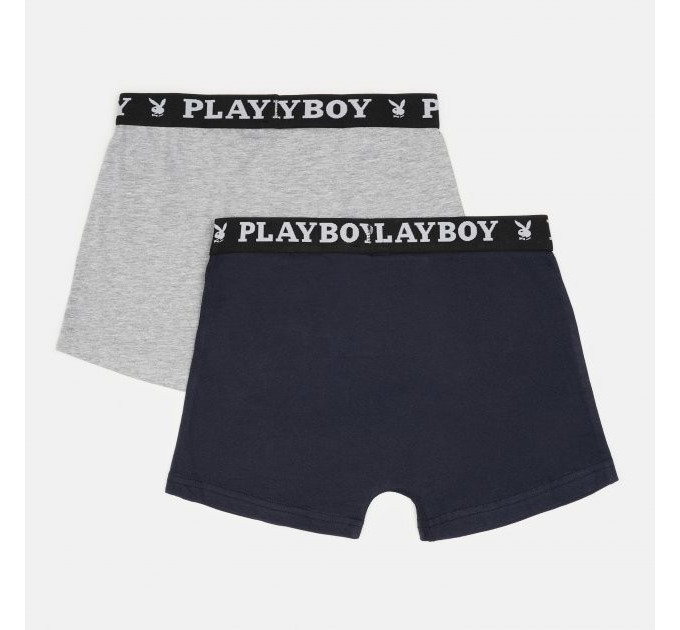 Набір труси-боксери ANNYA PLAYBOY BOXERSHORT Сірий, Синій L (ANNYA-26 L)