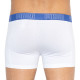 Труси-боксери Puma Bold Stripe Boxer 2-pack M blue/black/white 501001001-010